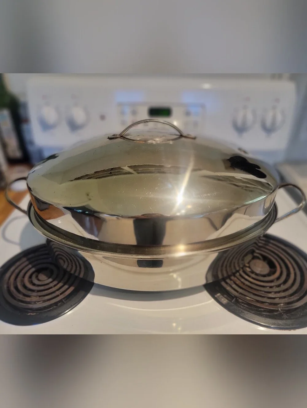 Stainless Steel Covered Roasting Pan - Silver